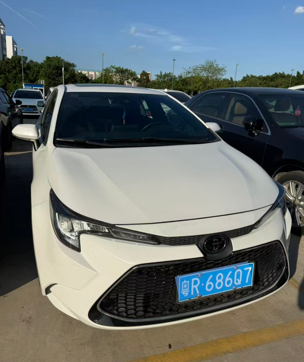 Toyota Levin