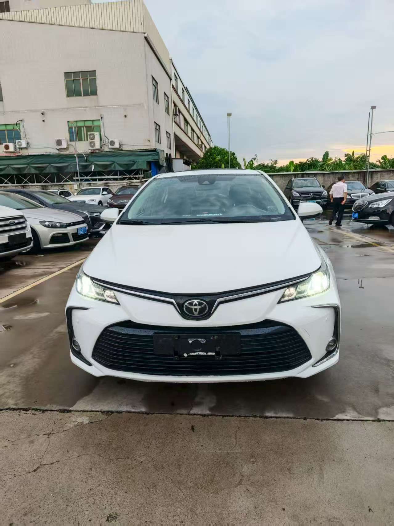 Toyota corolla